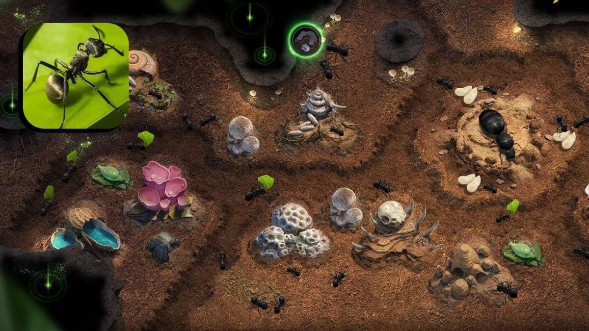 The Ants: Underground Kingdom