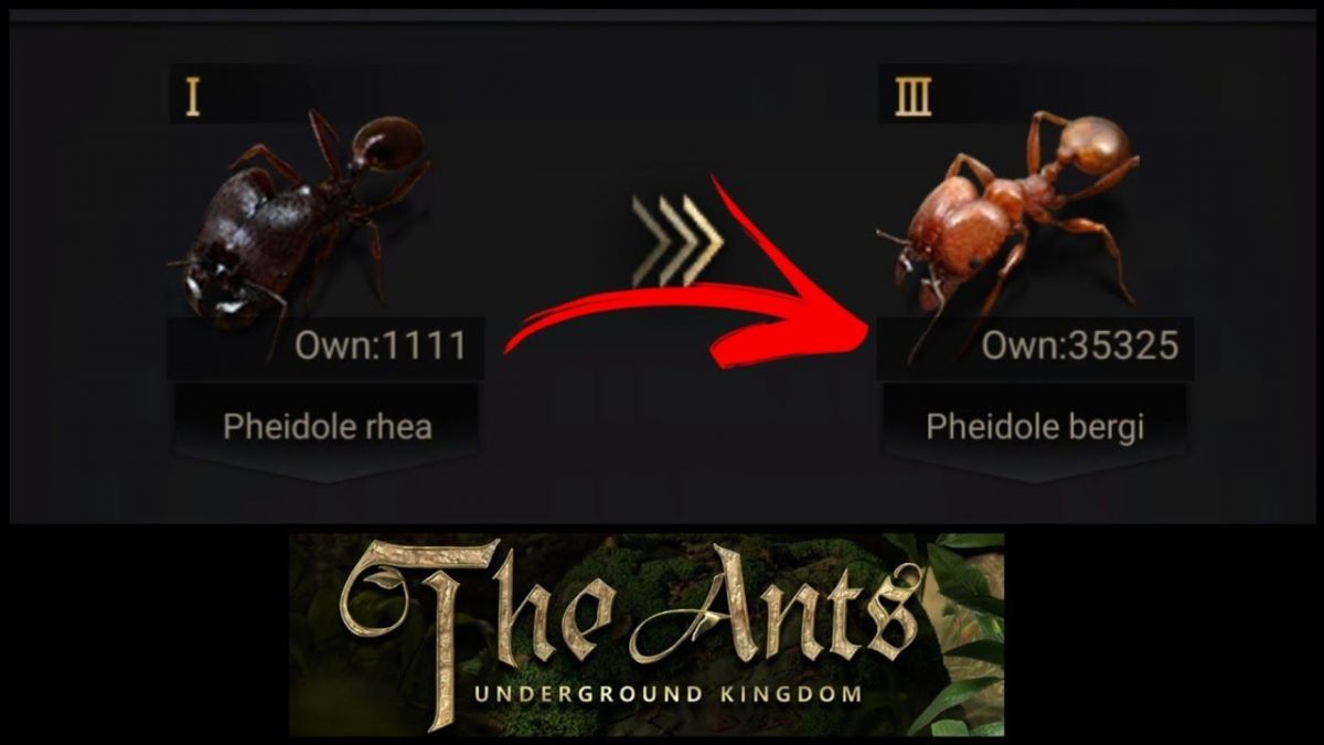 The Ants: Underground Kingdom