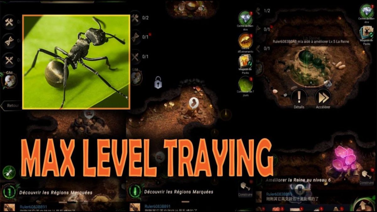 The Ants: Underground Kingdom