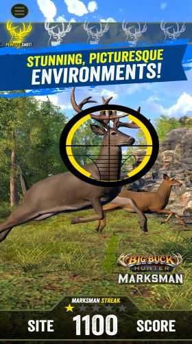 Big Buck Hunter: Marksman