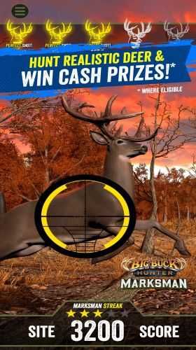 Big Buck Hunter: Marksman