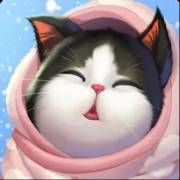 Match de Chatons
