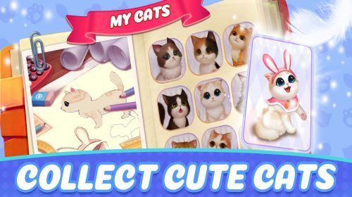 Match de Chatons