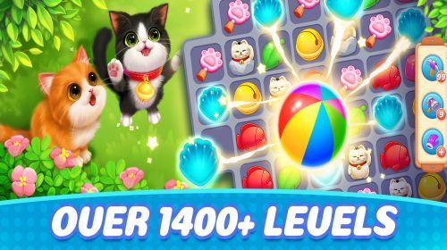 Match de Chatons