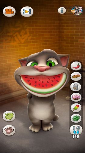 Talking Tom Cat