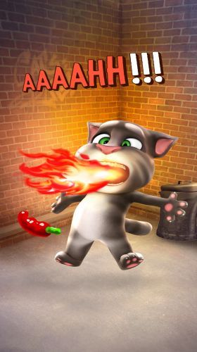 Talking Tom Cat