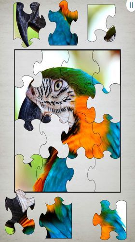 Jigty Jigsaw Puzzles