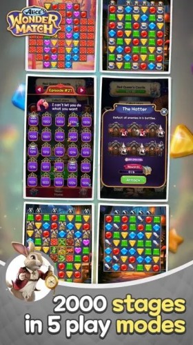 Alice Wonder Match